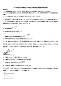 2026届北京市朝阳区市级名校高考仿真模拟物理试卷含解析