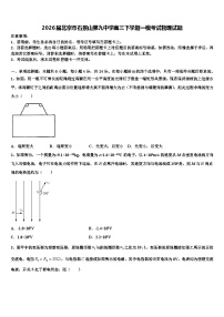 2026届北京市石景山第九中学高三下学期一模考试物理试题含解析