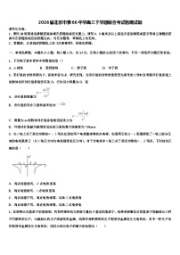2026届北京市第66中学高三下学期联合考试物理试题含解析
