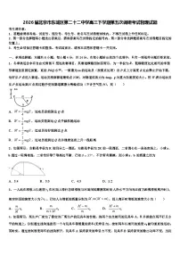 2026届北京市东城区第二十二中学高三下学期第五次调研考试物理试题含解析
