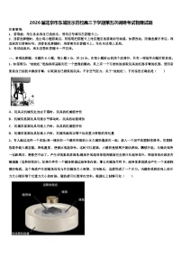 2026届北京市东城区示范校高三下学期第五次调研考试物理试题含解析