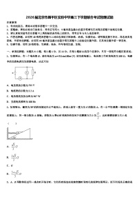 2026届北京市昌平区实验中学高三下学期联合考试物理试题含解析