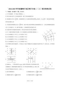2024-2025学年新疆喀什地区喀什市高二（上）期末物理试卷（有答案）