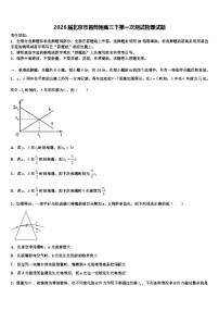 2026届北京市首师附高三下第一次测试物理试题含解析