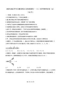 2025-2026学年安徽省皖江名校联盟高一（上）联考物理试卷（A）（12月）（有答案）