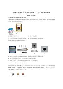 2024-2025学年山东省临沂市高二上学期期末学科素养水平监测物理试卷（有解析）