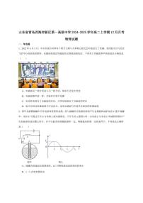 2024-2025学年山东省青岛西海岸新区第一高级中学高二上学期12月月考物理试卷（有解析）