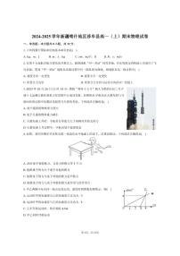 2024-2025学年新疆喀什地区莎车县高一（上）期末物理试卷（有解析）