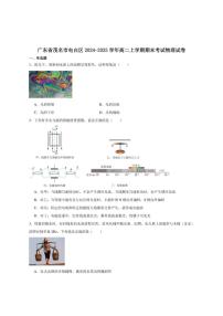 2024-2025学年广东省茂名市高二上学期期末质量监测物理试卷（有解析）
