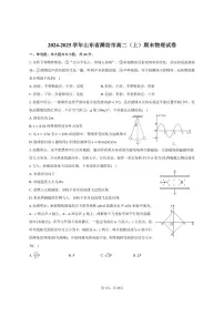 2024-2025学年山东省潍坊市高二（上）期末物理试卷（有解析）