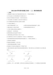 2024-2025学年贵州省遵义市高一（上）期末物理试卷（有答案）