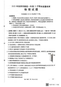 广西壮族自治区贵港市桂林市2025-2026学年高一上学期12月月考物理试卷（含答案）