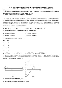 2026届北京市中央民族大学附中高三下学期第五次调研考试物理试题含解析