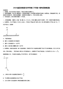 2026届北京西城长安中学高三下学期一模考试物理试题含解析