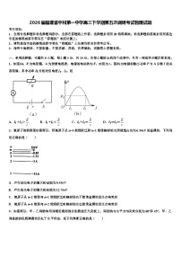 2026届福建省平和第一中学高三下学期第五次调研考试物理试题含解析
