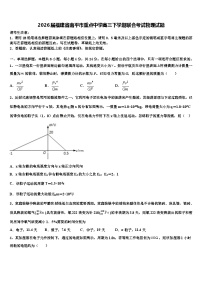 2026届福建省南平市重点中学高三下学期联合考试物理试题含解析