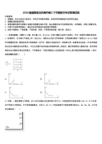 2026届福建省龙岩高中高三下学期联合考试物理试题含解析