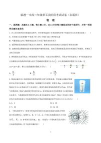 湖南省常德市临澧县第一中学2025-2026学年高三上学期第五次月考物理试题（永通班）