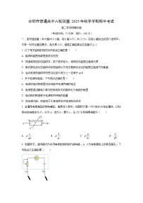 2025-2026学年安徽省合肥市六校联盟高二上学期期中考试物理试卷（学生版）