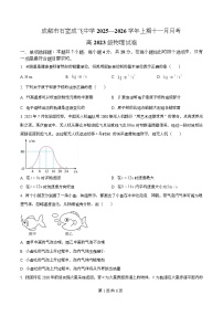 四川省成都市石室成飞中学2026届高三上学期11月月考物理试卷（Word版附解析）