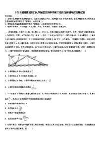 2026届福建省厦门大学附属实验中学高三适应性调研考试物理试题含解析
