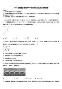 2026届福建省漳州第八中学高考适应性考试物理试卷含解析