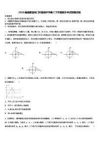 2026届福建省厦门外国语中学高三下学期联合考试物理试题含解析