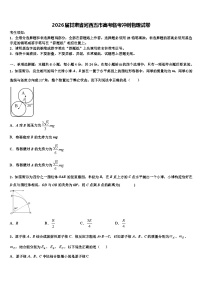 2026届甘肃省河西五市高考临考冲刺物理试卷含解析