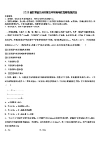 2026届甘肃省兰州市第五中学高考仿真卷物理试题含解析