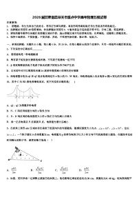 2026届甘肃省嘉峪关市重点中学高考物理五模试卷含解析