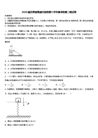 2026届甘肃省陇南市徽县第三中学高考物理二模试卷含解析