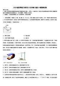 2026届甘肃省兰州市五十五中高三最后一模物理试题含解析