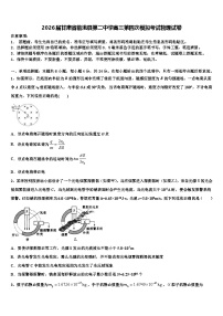 2026届甘肃省临洮县第二中学高三第四次模拟考试物理试卷含解析