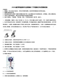 2026届甘肃省酒泉市瓜州县高三下学期联合考试物理试题含解析