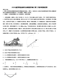 2026届甘肃省金昌市永昌县四中高三第二次联考物理试卷含解析