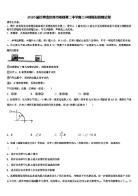 2026届甘肃省定西市岷县第二中学高三冲刺模拟物理试卷含解析