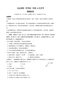 云南省文山壮族苗族自治州文山市第一中学2025-2026学年高一上学期12月月考物理试卷