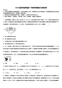 2026届甘肃省肃南县一中高考物理倒计时模拟卷含解析