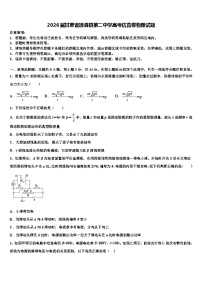 2026届甘肃省通渭县第二中学高考仿真卷物理试题含解析