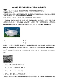 2026届甘肃省武威第一中学高三下第一次测试物理试题含解析