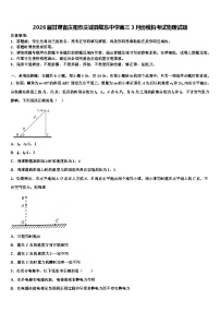 2026届甘肃省庆阳市庆城县陇东中学高三3月份模拟考试物理试题含解析
