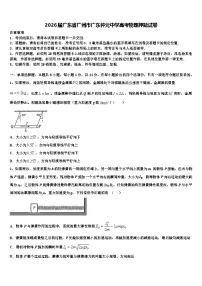 2026届广东省广州市广东仲元中学高考物理押题试卷含解析