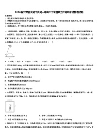 2026届甘肃省武威市武威一中高三下学期第五次调研考试物理试题含解析