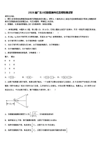 2026届广东六校联盟高考仿真卷物理试卷含解析