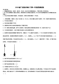 2026届广东清远市高三下第一次测试物理试题含解析
