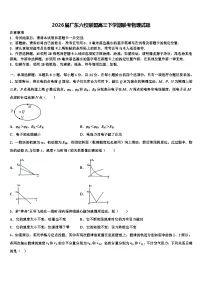 2026届广东六校联盟高三下学期联考物理试题含解析