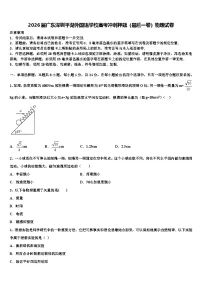 2026届广东深圳平湖外国语学校高考冲刺押题（最后一卷）物理试卷含解析