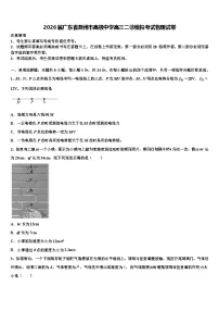 2026届广东省潮州市高级中学高三二诊模拟考试物理试卷含解析