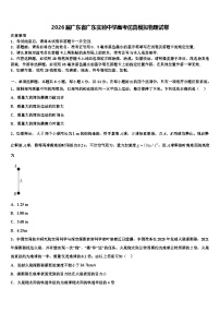2026届广东省广东实验中学高考仿真模拟物理试卷含解析
