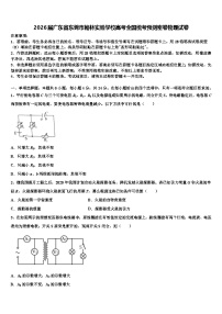2026届广东省东莞市翰林实验学校高考全国统考预测密卷物理试卷含解析
